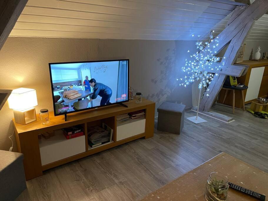Loft Avec Jardin Apartment Corcieux Bagian luar foto