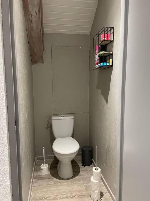 Loft Avec Jardin Apartment Corcieux Bagian luar foto